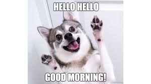80 Perfectly Accurate Funny Good Morning Memes To Kick Start Your Day