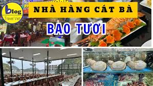 Top 6 Nhà Hàng Cát Bà Vừa Ngon Vừa Rẻ Hải Sản Tươi Sống Cực Ngon