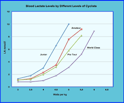 Lactate And Cycling