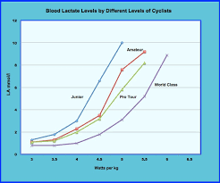 lactate and cycling