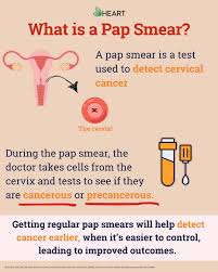 Image result for Pap Smear