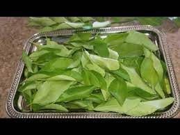 Hojas De Naranjo Y Limon Para Hacer Te Sinpretextos Youtube