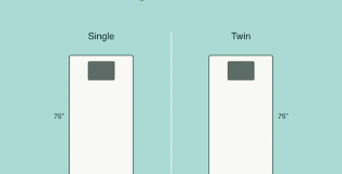Single Vs Twin Bed What S The