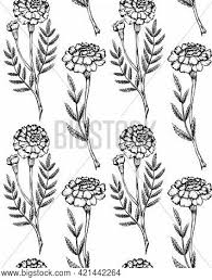 Vintage collection of ink hand drawn citrus. Seamless Pattern Vector Photo Free Trial Bigstock