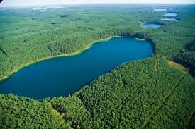 W borach tucholskich znajdziesz też wiele malowniczych jezior. Jezioro Zmarle 7 Geocaching Opencaching Polska