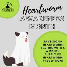 Voted best veterinarian in cheyenne in 2020! Avenues Pet Clinic Home Facebook
