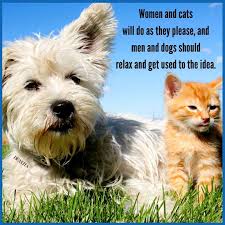 See more ideas about friendship quotes images, quotes, friendship quotes. Cats Vs Dogs Quotes And Funny Sayings For Your Beloved Pets