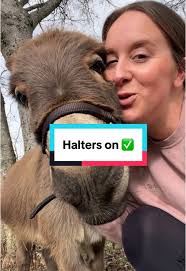 Farrier day! Time for manicures