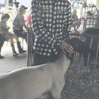 Walton student, 14, badly injured in car crash