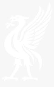 Available in png, jpg, pdf, ai, eps, cdr and svg formats with high resolution for all vector logo. The Reds Army Liverbird Vector Stock Liverpool Fc Logo Hd Png Download Kindpng