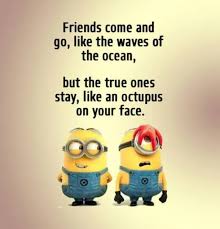 50 Best Funny Minion Quotes