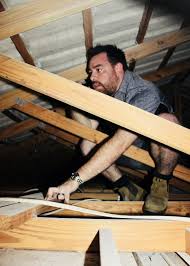 Our building inspectors and pest inspectors are fully qualified with australian carpenter and builder certifications. Building And Pest Inspections Springfield Lakes