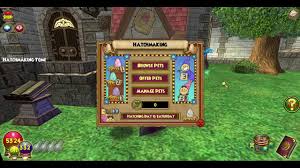 As part of the largest wizard101 community and wizard101 forums online, this is … Wizard101 On Twitter Did You Know That Wizard101 Launched With Pets Being Only Cosmetic They Are Now An Integral Part Of Life In The Spiral They Have Their Own Pet Park Hatchery