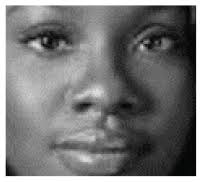 Measuring Gender Status Beliefs