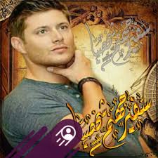 Tennessee Volunteers