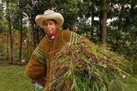 «en ninguna circunstancia, miembros de mi familia hemos autorizado el uso de la letra o música de nuestro padre don luis abanto morales, el cual era amante de las libertades individuales. Peru Election 2021 Pedro Castillo The Barefoot Candidate Poised To Become The Next President Of Peru Usa El Pais In English