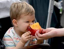 September Nature Walk: An aspen walk