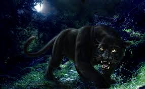 Apr 03, 2021 · download 1080x1620 black panther cool digital comic art 1080x1620 resolution wallpaper, superheroes wallpapers, images, photos and background for desktop windows 10 macos, apple iphone and android mobile in hd and 4k 74 Black Panther Wallpapers On Wallpapersafari
