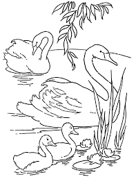 Includes images of baby animals, flowers, rain showers, and more. Free Printable Swans Coloring Page The Graphics Fairy