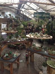 New Air Plant Display Custom Tables Floating Display Shelves Diy Air Plant Display Garden Center Displays Air Plants