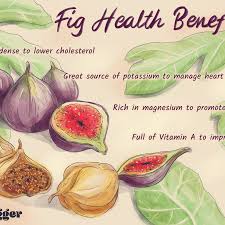 Poshmark makes shopping fun, affordable & easy! 4 Health Benefits Of Figs