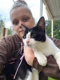 Anyone by the hospital missing a black and white intact male cat?