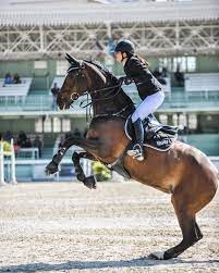 nouvelle photo au grand national de vichy grandnational vichy jumping stadeequestredusichon lightroom show jumping horses horse equestrian horse jumping