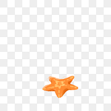 ~ tapak sulaiman (starfish) ~. Gambar Tapak Sulaiman Png Vektor Psd Dan Untuk Muat Turun Percuma Pngtree