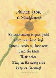 Love Sunflower Quotes Flower Quotes Inspirational Quotes