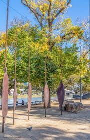 Birrarung Marr Cultural Heritage Alliance Of 5 Indigenous Tribes Of Central Victoria Sandraz Melbourne Victoria Melbourne Indigenous Tribes