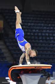 Ginnastica artistica in vendita in sports: Nicola Ginnastica Artistica Italiana