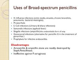 Image result for Extended Spectrum Penicillin