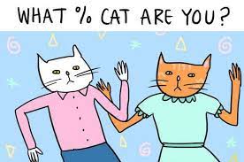 What Percentage Cat Are You Warrior Cats Quiz What Cat Cats