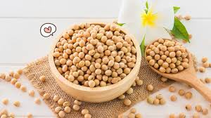 We did not find results for: Kaya Protein Ketahui 9 Manfaat Kacang Kedelai Berikut Ini Orami