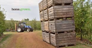 🎄 holiday crockpot mulled apple cider is an easy crockpot recipe that keeps your cider warm for refills. Apples Archives Price Chopper Market 32