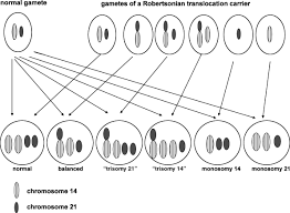 Robertsonian translocations (rts) are among the most common types of chromosome rearrangements, specifically involving the acrocentric chromosomes in humans. Cytogenetic Abnormalities Obgyn Key