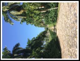 Hostos ReviewRevista Hostosiana 18 by Hostos Community College - Issuu