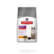 Hazimsizlik Yasayan Kediler Icin En Iyi 5 Sindirim Hassasiyetli Kedi Mamasi