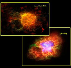 Image result for tbn:uadrQF-VCg6GfM::www.kaheel7.com/userimages/venusmoon.JPG