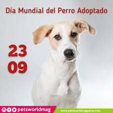 Maybe you would like to learn more about one of these? Dia Mundial Del Perro Adoptado 23 De Septiembre Petsworldmagazine Revistademascotas Panama Mascotas Dia Mundial Del Perro Dia Del Perro Perros