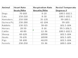 accurate animal blood pressure thorough animal heart rate chart