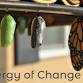 The Energy of Change event in Placitas, NM
