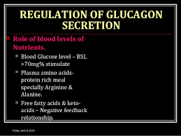 The evolving clinical course of patients with insulin receptor autoantibodies: Glucagon Regulation Of Blood Glucose