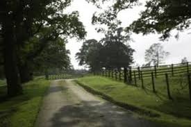 We would like to show you a description here but the site won't allow us. How To Landscape With A Split Rail Fence