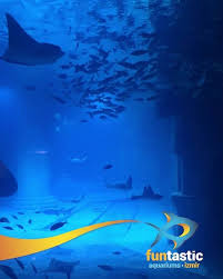 Izmir In Ilk Ve Tek Akvaryumu Westpark Funtastic Aquarium Izmir