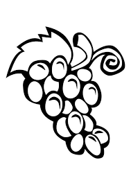 25 lovely grapes coloring pages for your little ones. Coloring Page Grapes Free Printable Coloring Pages Img 10309