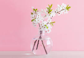 Check spelling or type a new query. 15 Japanese Flower Meanings And Where To Find Them Proflowers Blog