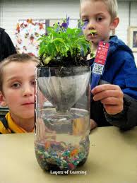 Soda Bottle Ecosystems Kindergarten Science Ecosystem In A Bottle Elementary Science
