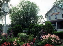 Shop your favorite steve madden shoes, handbags, apparel and accessories. Learn About The Best Haverhill Florist Flowers By Steve Inc