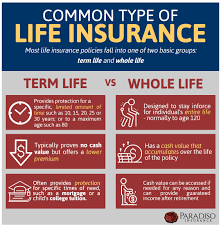 Connecticut Life Insurance Policies Paradiso Insurance Permanent Life Insurance Life Insurance Policy Term Life